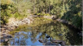 A woman who fell from a river tube near Brisbane has been discovered deceased.