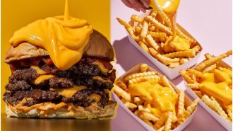 A Netherlands fast food brand that has been hailed as better than McDonald's is now open in London.