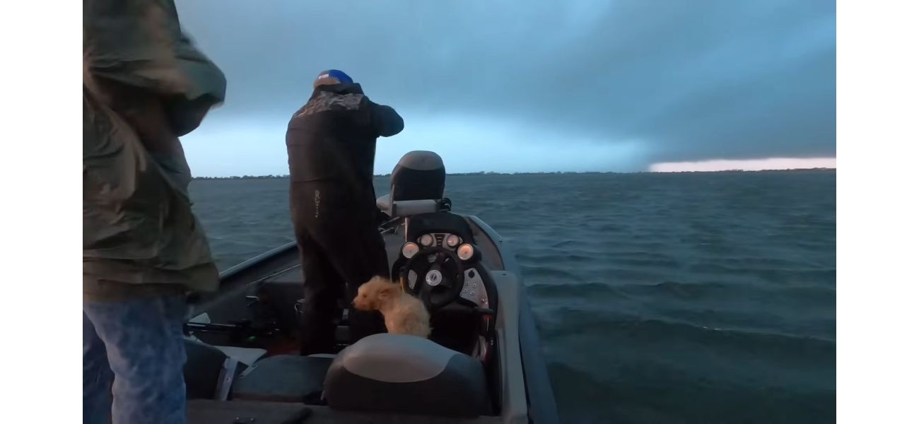 It's like navigating a boat towards a tornado.