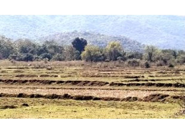 TAC refuses to approve government's plan to change rules for transferring tribal land.