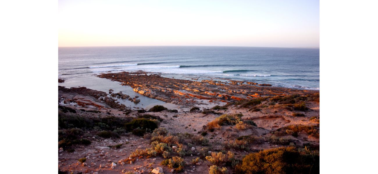 Concerns arise about potential shark attack when a surfer goes missing in the water.