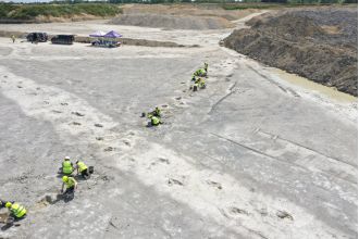 Ancient dinosaur footprints found in Oxfordshire, dating back 166 million years.