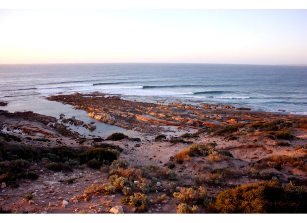 Concerns arise about potential shark attack when a surfer goes missing in the water.