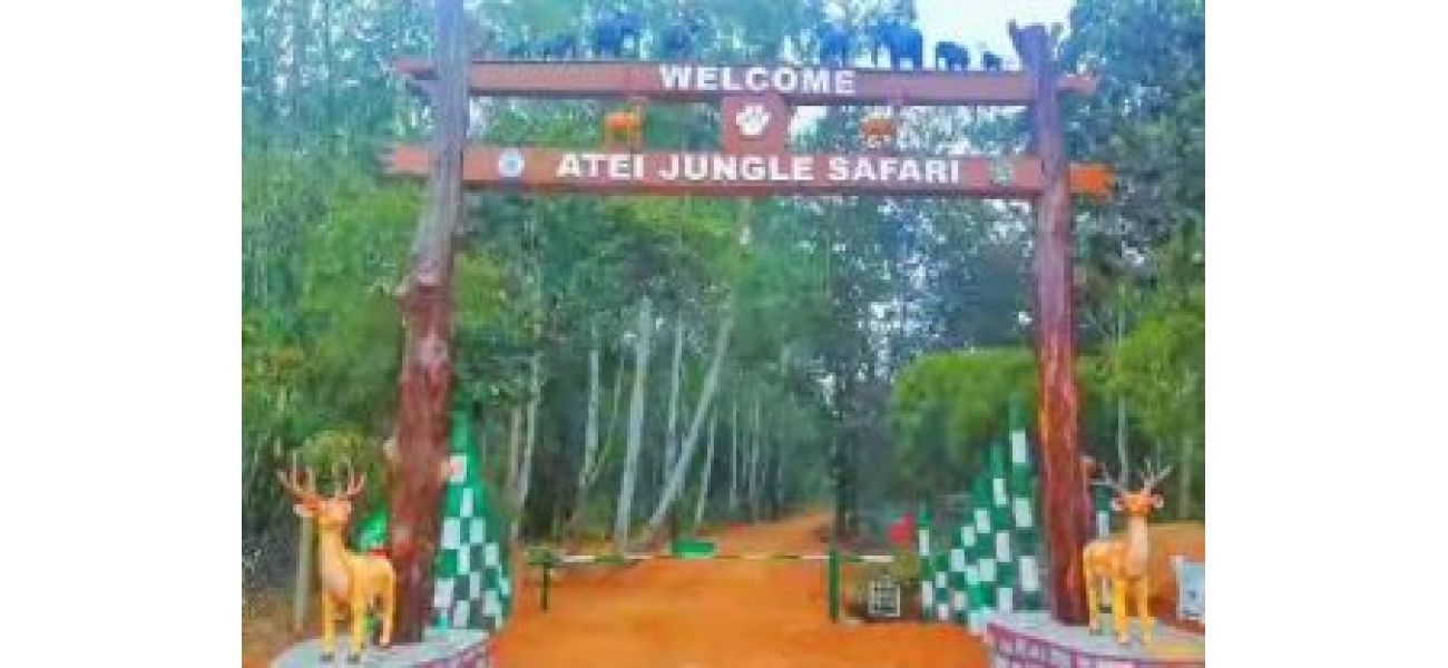 Atei reserve forest now offers a new jungle safari experience.