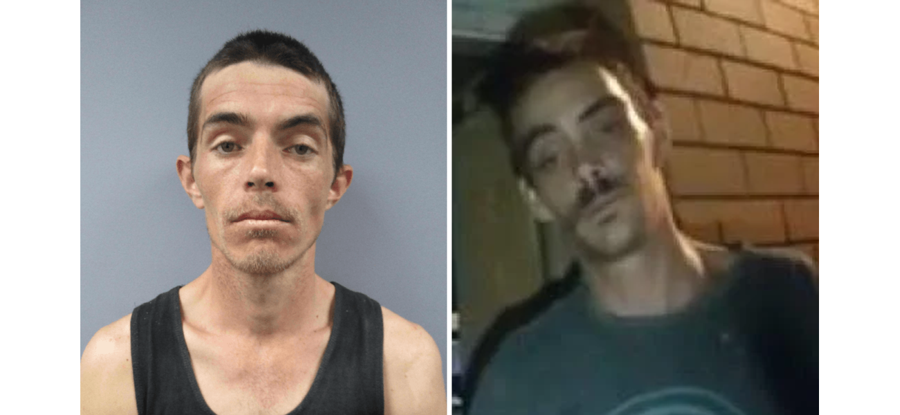 Suspects in woman's murder believed to be hiding in New South Wales forest.