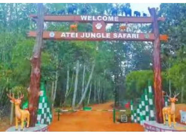 Atei reserve forest now offers a new jungle safari experience.