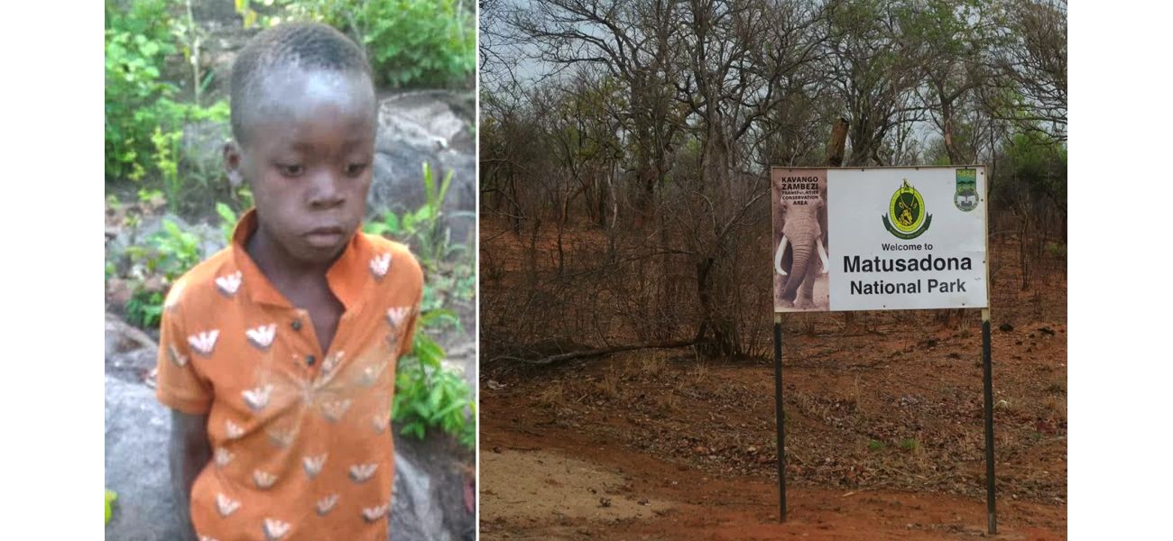 Boy alone in lion reserve for five days digs wells to survive