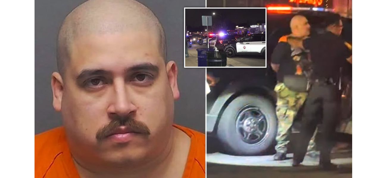Man detained for stabbing audience member at concert.