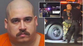 Man detained for stabbing audience member at concert.