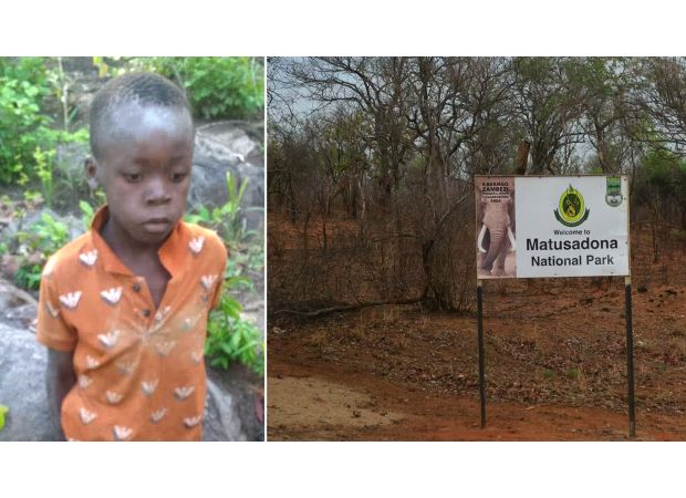 Boy alone in lion reserve for five days digs wells to survive