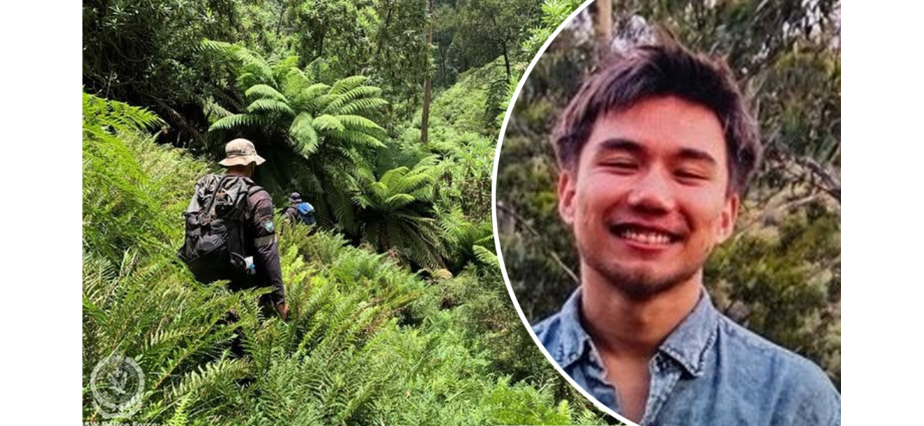 Search continues for lost hiker after 8 days.