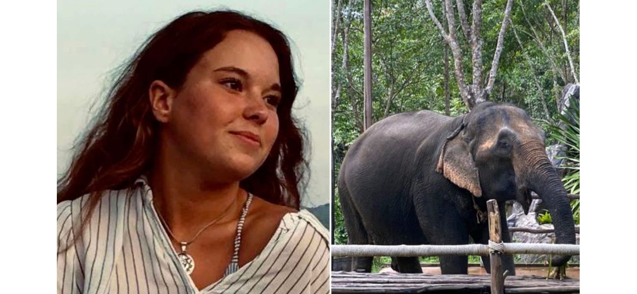 A tourist was killed by an elephant while bathing it at a sanctuary in Thailand.