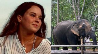 A tourist was killed by an elephant while bathing it at a sanctuary in Thailand.