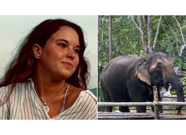 A tourist was killed by an elephant while bathing it at a sanctuary in Thailand.