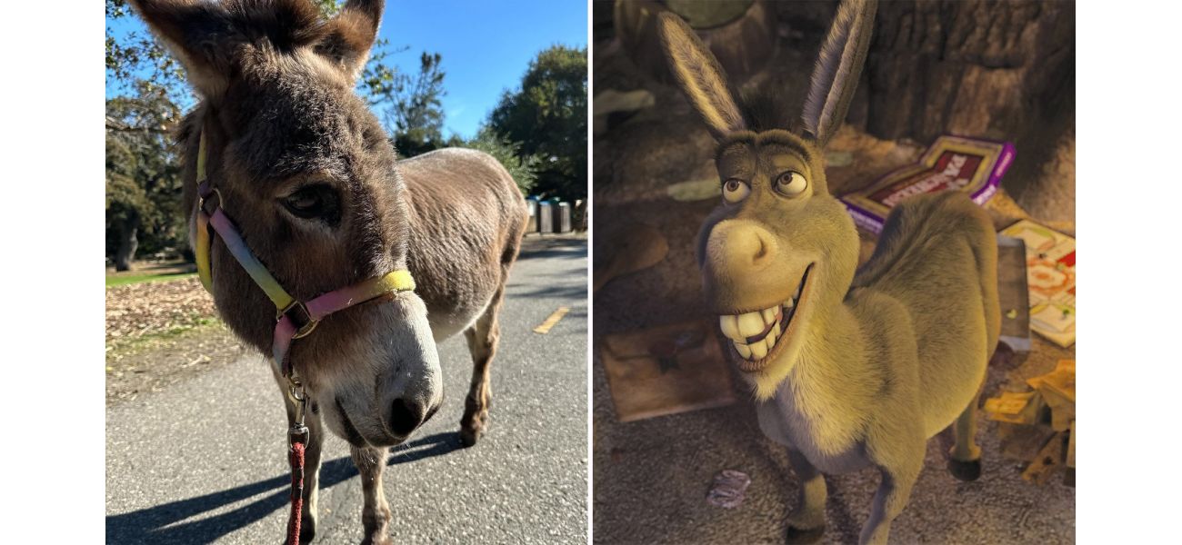 The donkey that inspired the iconic character of Shrek has passed away at the age of 30.