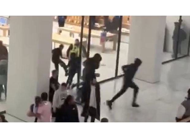 Panicked shoppers run as young people rob crowded Apple Store.