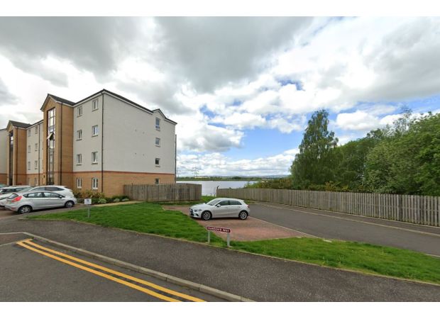 20 birds mysteriously decapitated in small town prompts investigation.