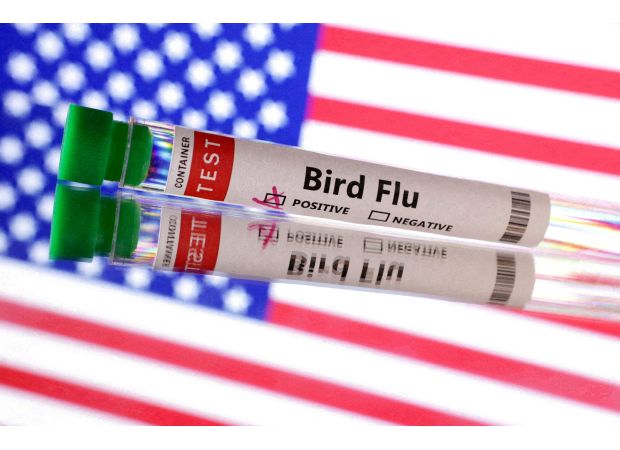 The US has confirmed the first death from human bird flu.