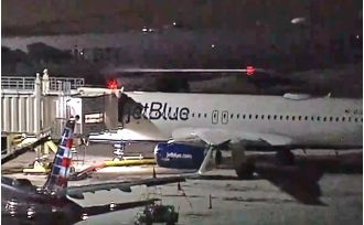 Two dead bodies discovered in plane's landing gear at airport.