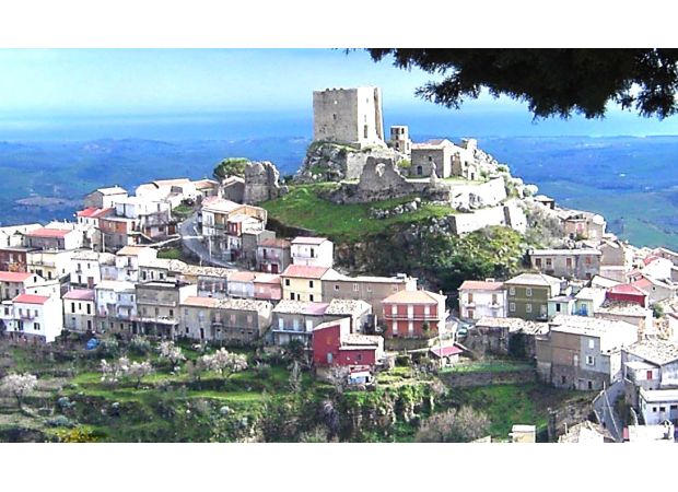 A whole community cannot become ill.