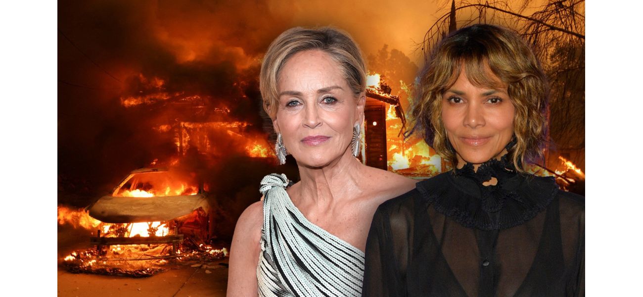 Celebrities, including Halle Berry, are providing aid in the wake of LA wildfires by donating clothes from their closets.