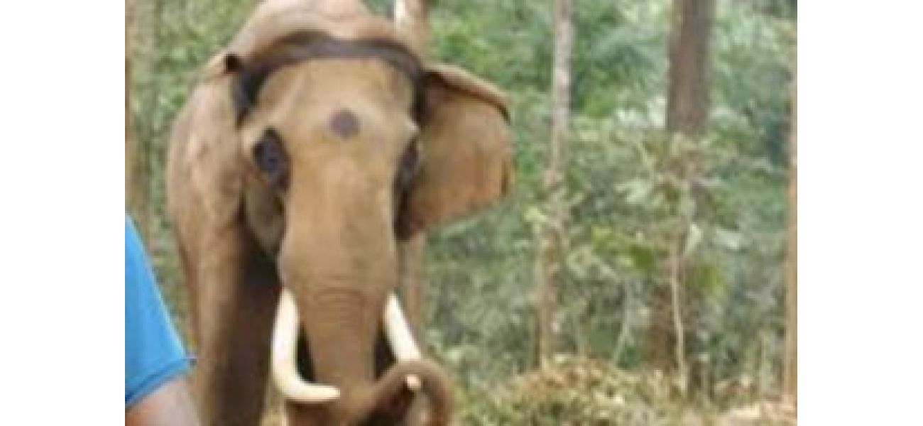66-year-old elephant named Mahendra passed away in Similipal, Odisha.