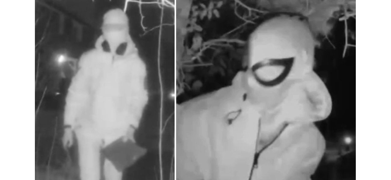 A fan of 'Spiderman' confesses to harassing a woman by leaving presents at her door.