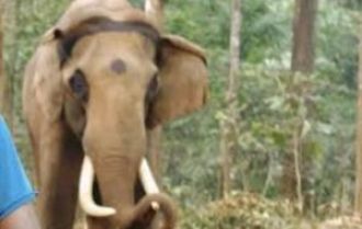 66-year-old elephant named Mahendra passed away in Similipal, Odisha.