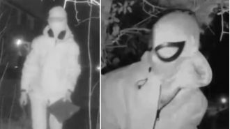 A fan of 'Spiderman' confesses to harassing a woman by leaving presents at her door.