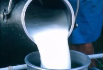 The government of Odisha intends to increase milk quantity in school mid-day meals by 200ml.