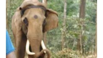 66-year-old elephant named Mahendra passed away in Similipal, Odisha.