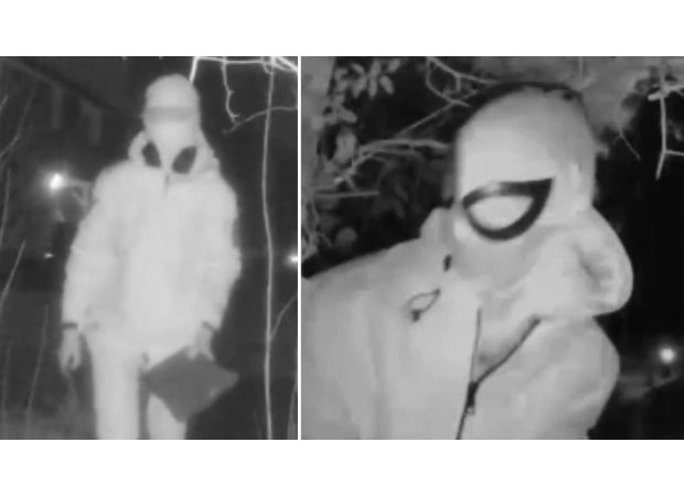 A fan of 'Spiderman' confesses to harassing a woman by leaving presents at her door.