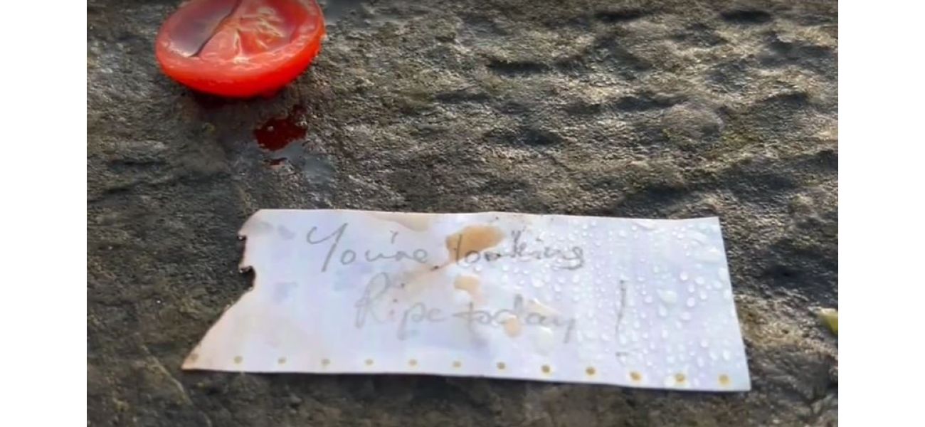 Dubliners puzzled by strange trend of tomatoes being placed on bridge.