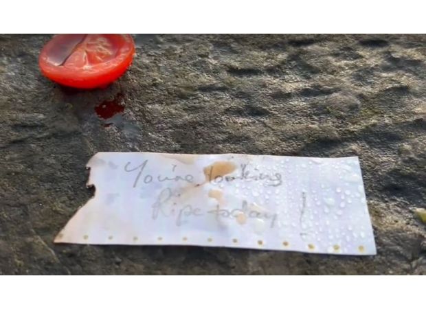 Dubliners puzzled by strange trend of tomatoes being placed on bridge.