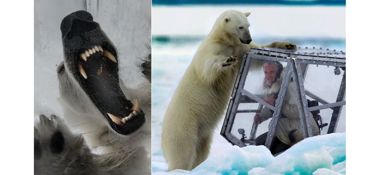 Cameraman nearly killed by polar bear while filming with David Attenborough.