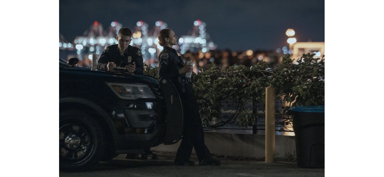 Amazon Prime included an exceptional police drama to its collection.