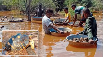 A flood at a sanctuary resulted in thousands of tortoises being saved.