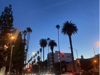 Is it wise to reconstruct neighborhoods lost in LA wildfires?