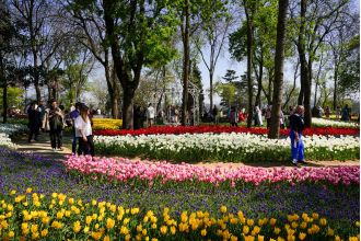 Find the top European cities to visit in spring 2025 for a refreshing and vibrant trip.
