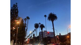 Is it wise to reconstruct neighborhoods lost in LA wildfires?