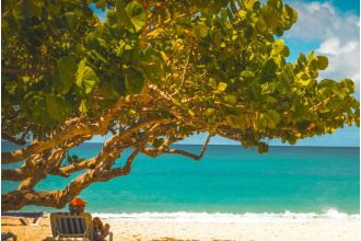Grenada plans to launch a 