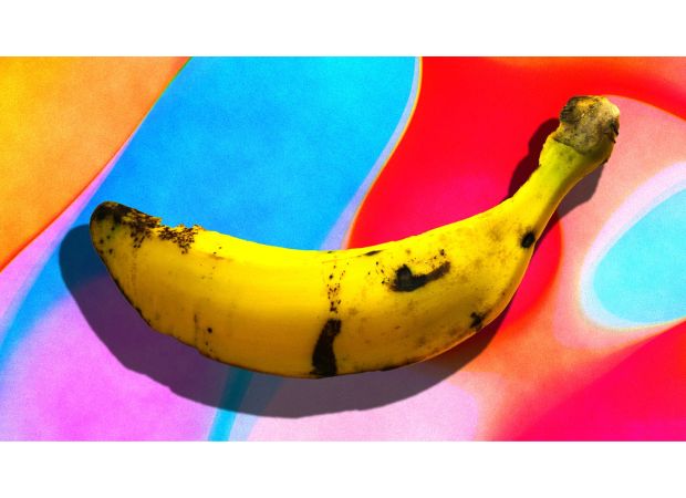 A rare penile disorder causes prolonged erections and possible amputation.