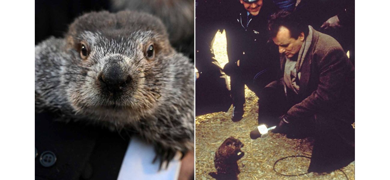 The strange tradition of Groundhog Day continues, with the story behind it being retold once more.
