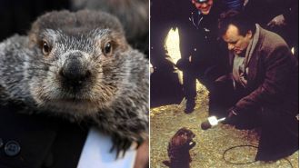 The strange tradition of Groundhog Day continues, with the story behind it being retold once more.
