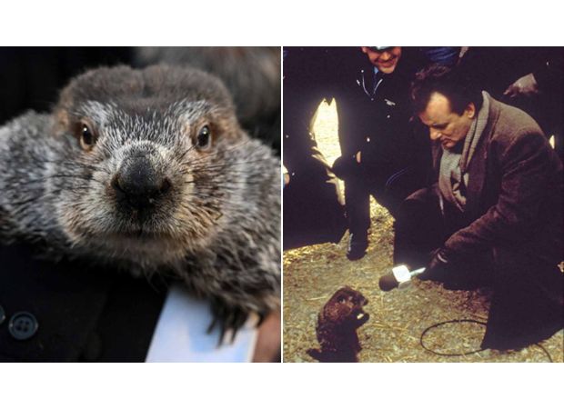 The strange tradition of Groundhog Day continues, with the story behind it being retold once more.