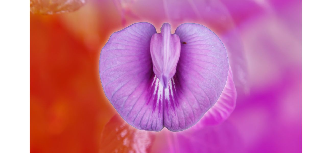 Is the trendy practice of labia puffing worth the hype?