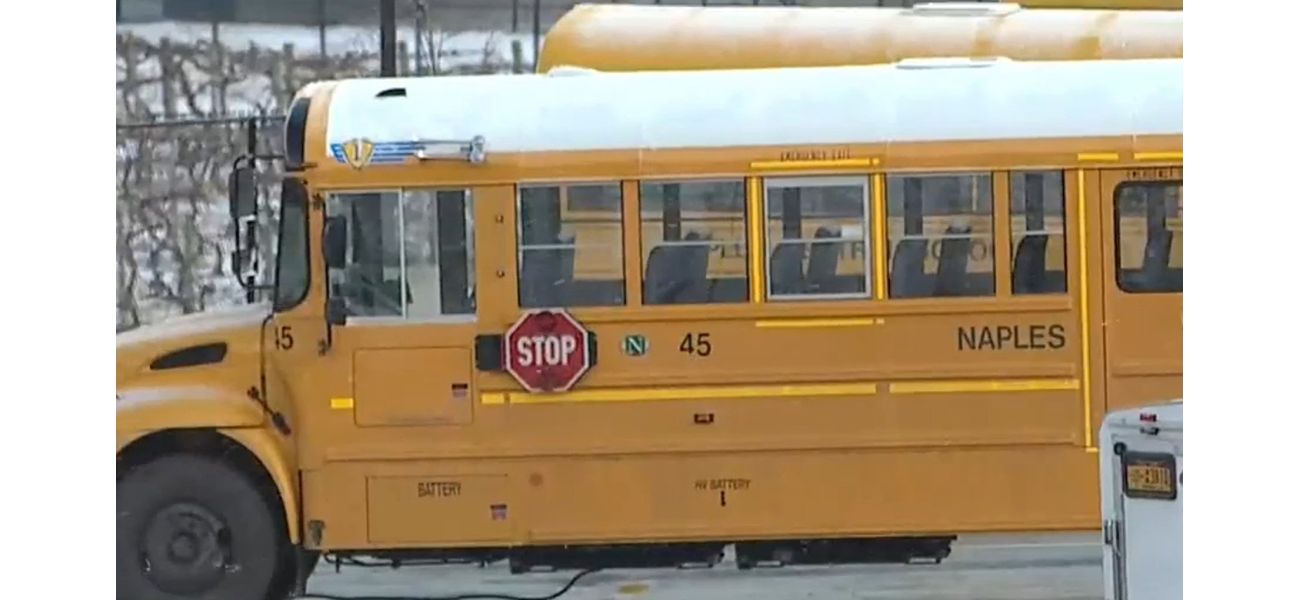 Bus driver buys gun while driving students