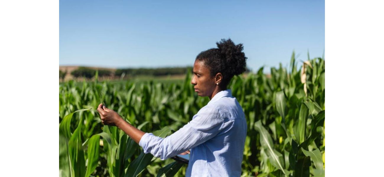 Assist in fighting food insecurity and unequal access to agriculture by supporting The Black Farmer's Index.