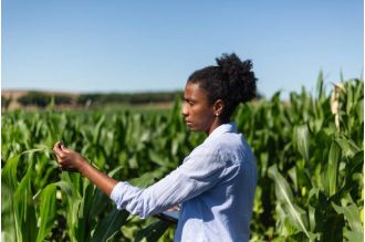 Assist in fighting food insecurity and unequal access to agriculture by supporting The Black Farmer's Index.