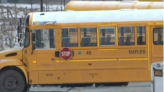 Bus driver buys gun while driving students